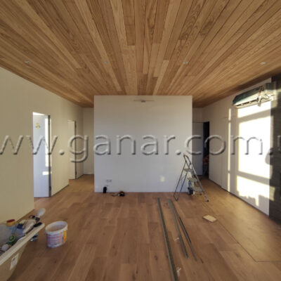 Вагонка ясенова